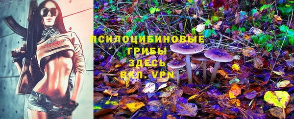 таблы Заводоуковск