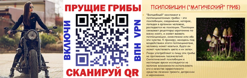 Купить закладки Кировск Галлюциногенные грибы MAGIC MUSHROOMS